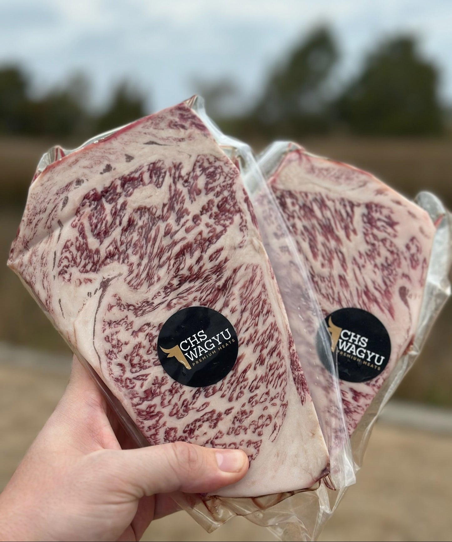 A5 Japanese Wagyu NY Strip (1-1.1 lbs. - Score 10/11)